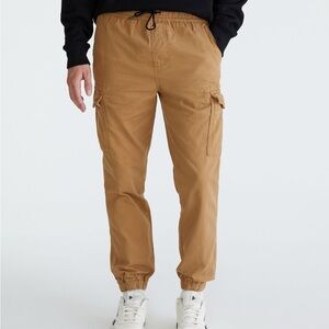 Aeropostale Men's Brown Cargo Pants